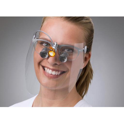 Visionshield (Pack of 10)
